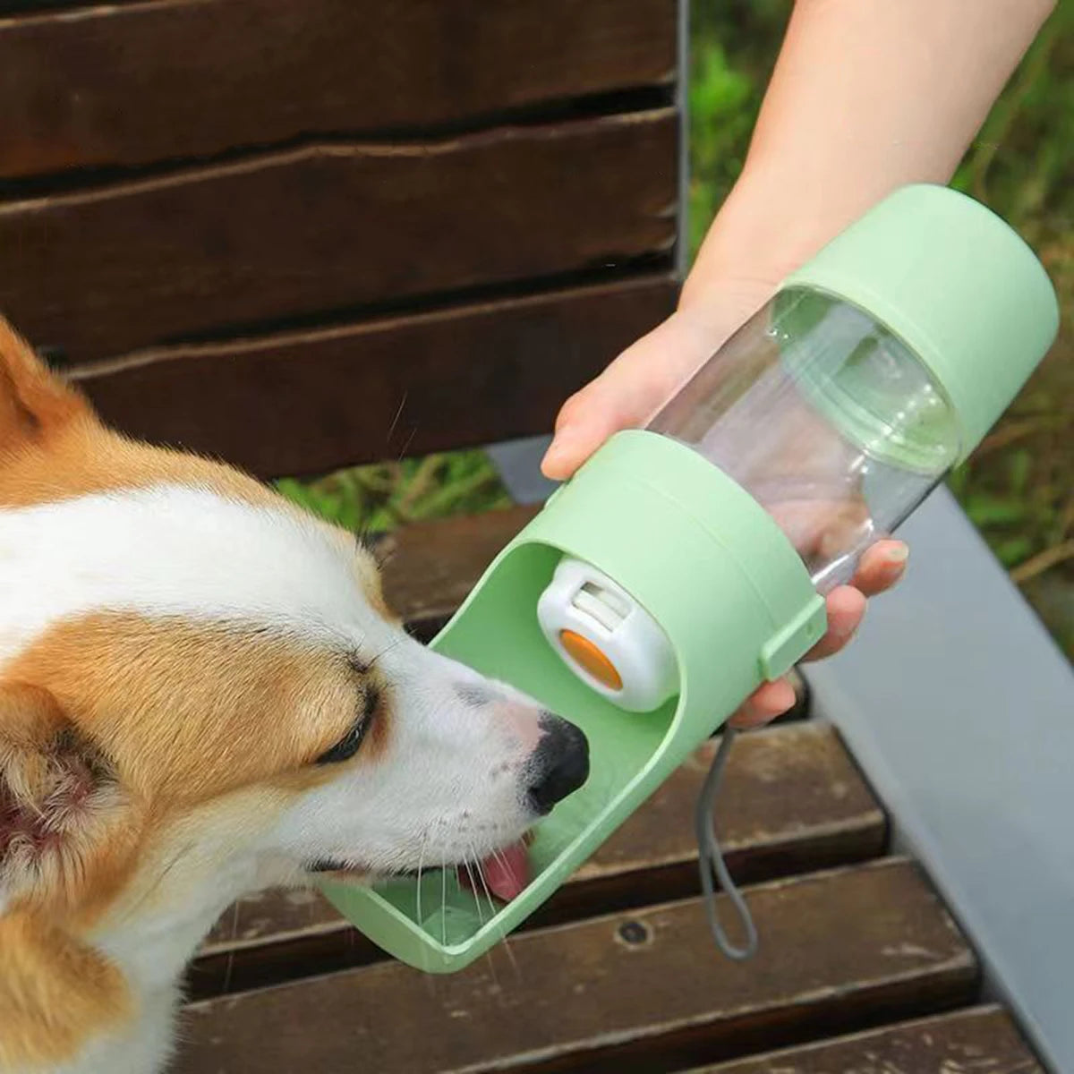 Botella 2 en 1 para perros – foto 1