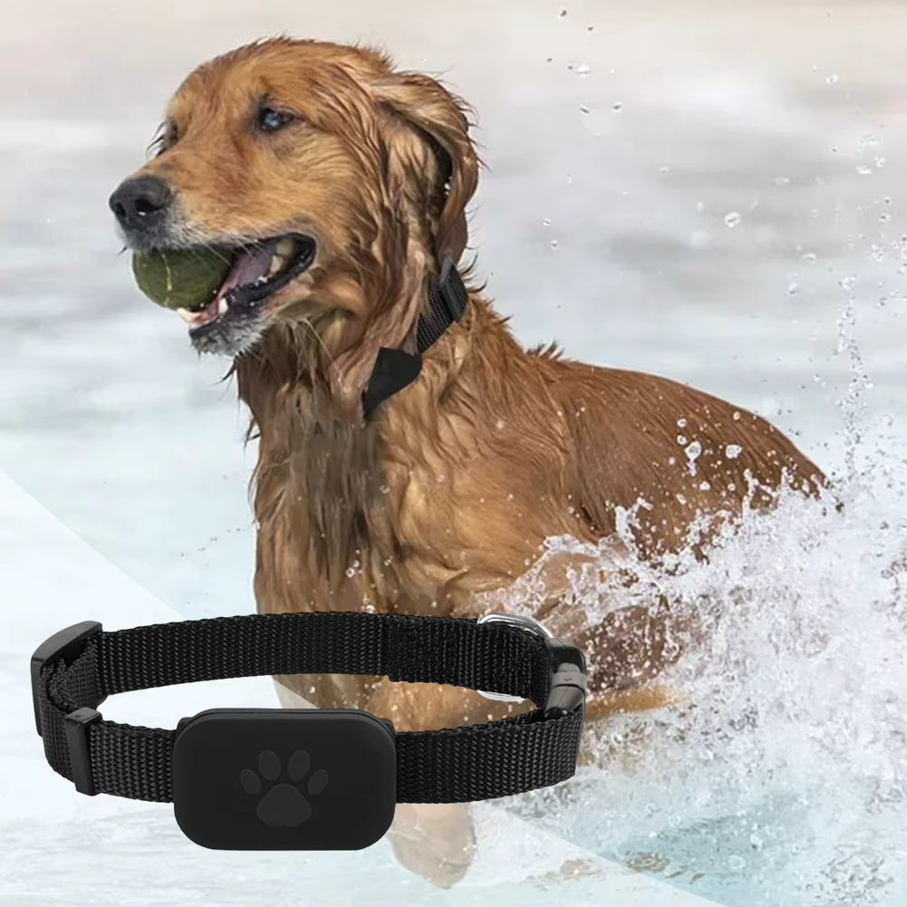 Localizador GPS para mascotas – foto 3